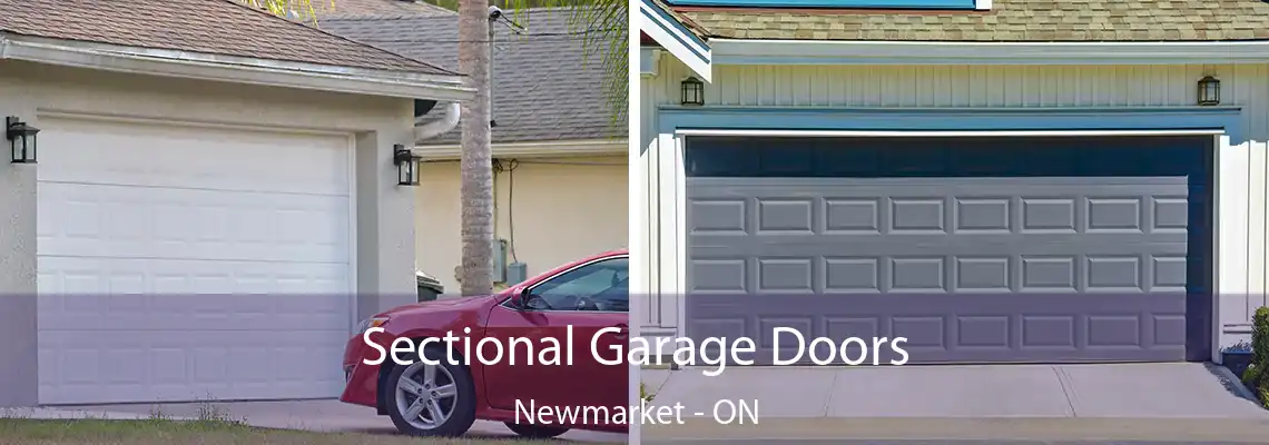 Sectional Garage Doors Newmarket - ON